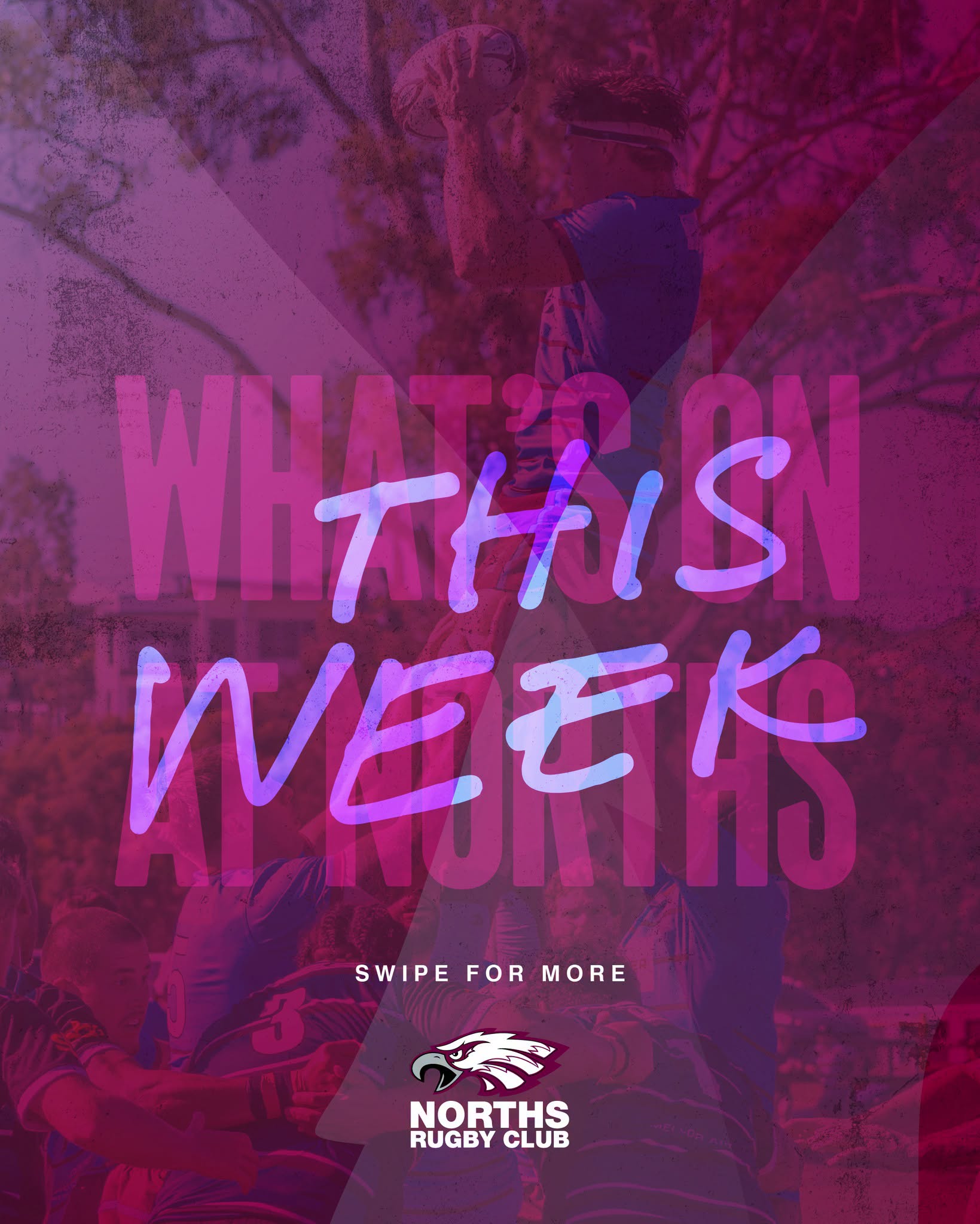 What’s on at Norths This Week